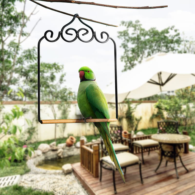 Portable Bird Stand Parrot Perch Bird Cage Stand Small Training Perch for Budgies