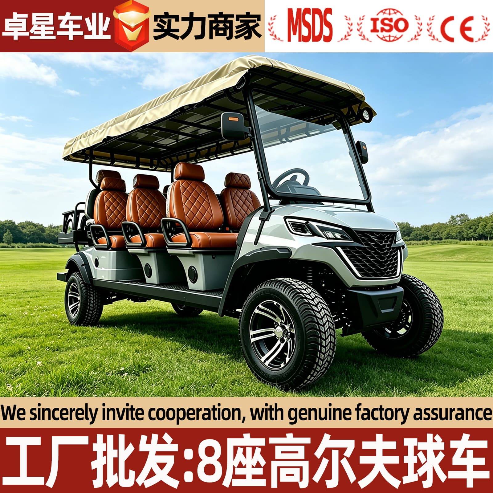 Electric Golf Cart for Export 6-Seater 8-Seater Scenic Tourist Vehicle Hotel Airport Golf Cart