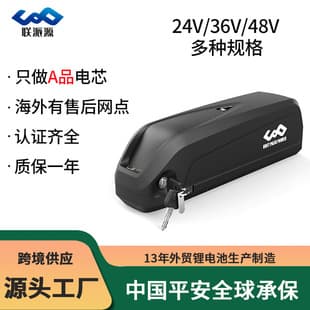 48V 13AH Electric Bike Lithium Battery, Mountain Bike 36V Hailong No.1 Type II Lithium Battery Pack