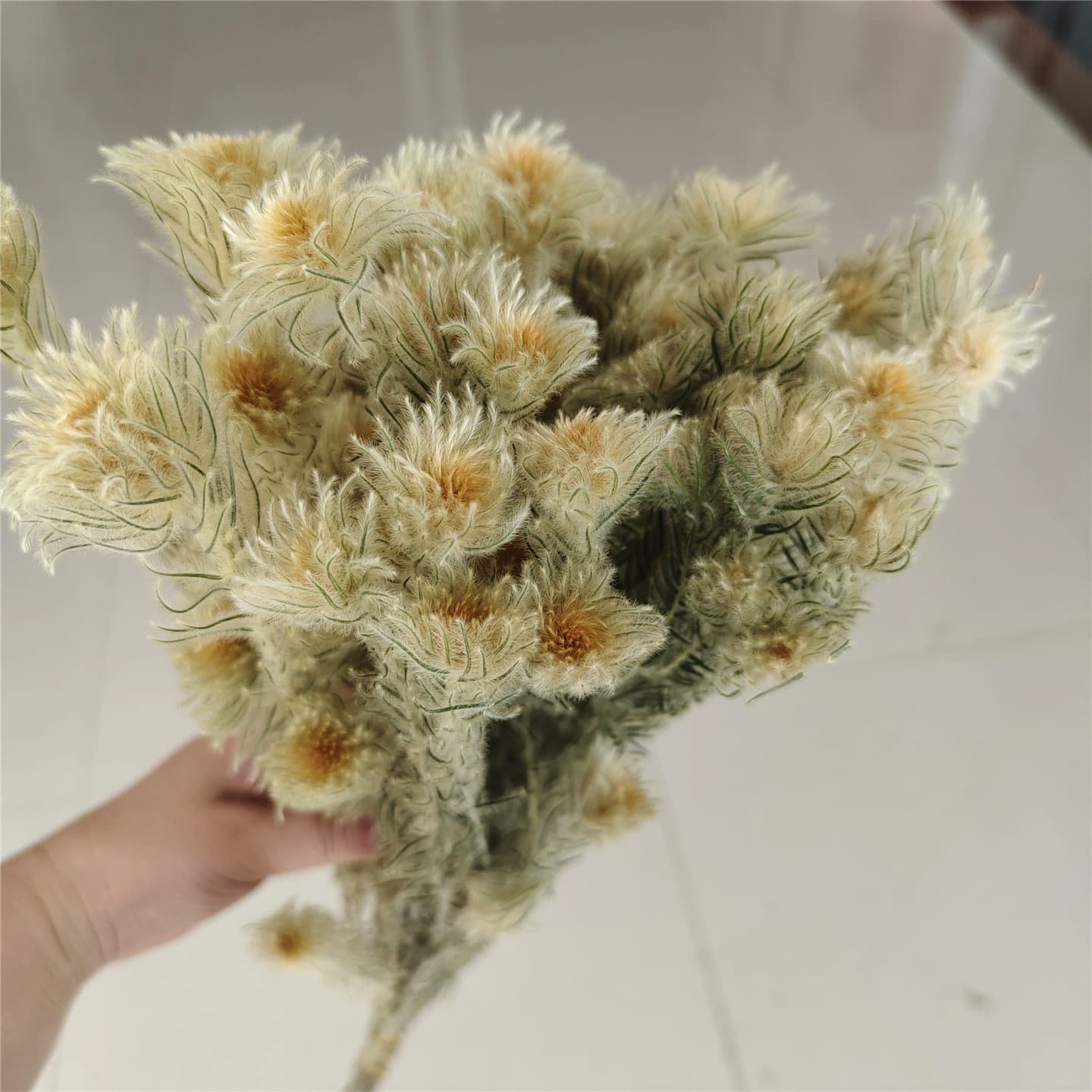 Preserved Everlasting Gold Velvet Flower Dried Bouquet Floral Arrangement Soft Decor Material Home Decoration Yunnan