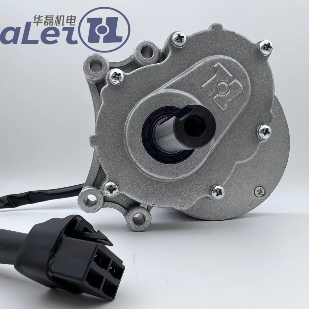 Factory My1016z H250w24v75 Rpm Beach Car Motor Permanent Magnet Brush Children's Playground Beach Car Motor