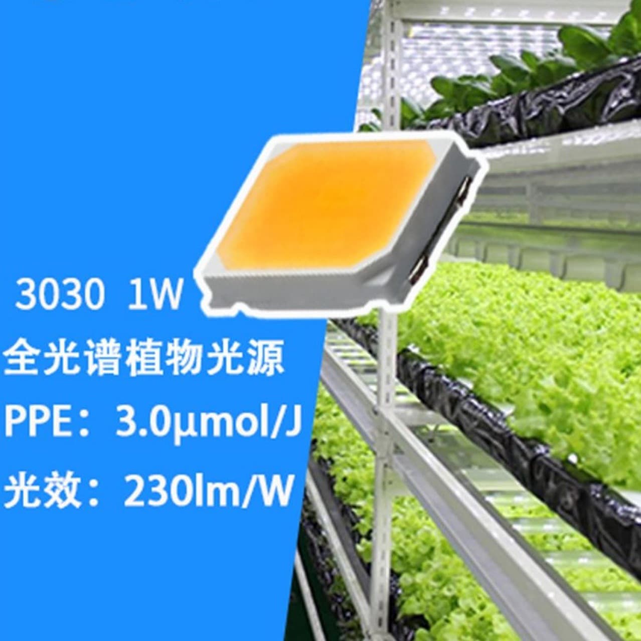 High-Efficiency 3030, 2835 Full Spectrum LED 1W Plant Growth Lamp Beads for Aquaculture