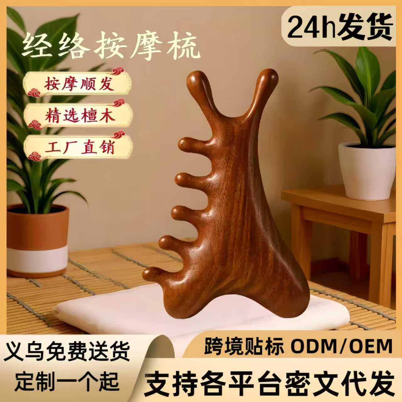 4-in-1 Head Therapy Meridian Comb, Multifunctional Scalp Massage Comb, Sandalwood Facial Gua Sha Massage Comb, Hair Care