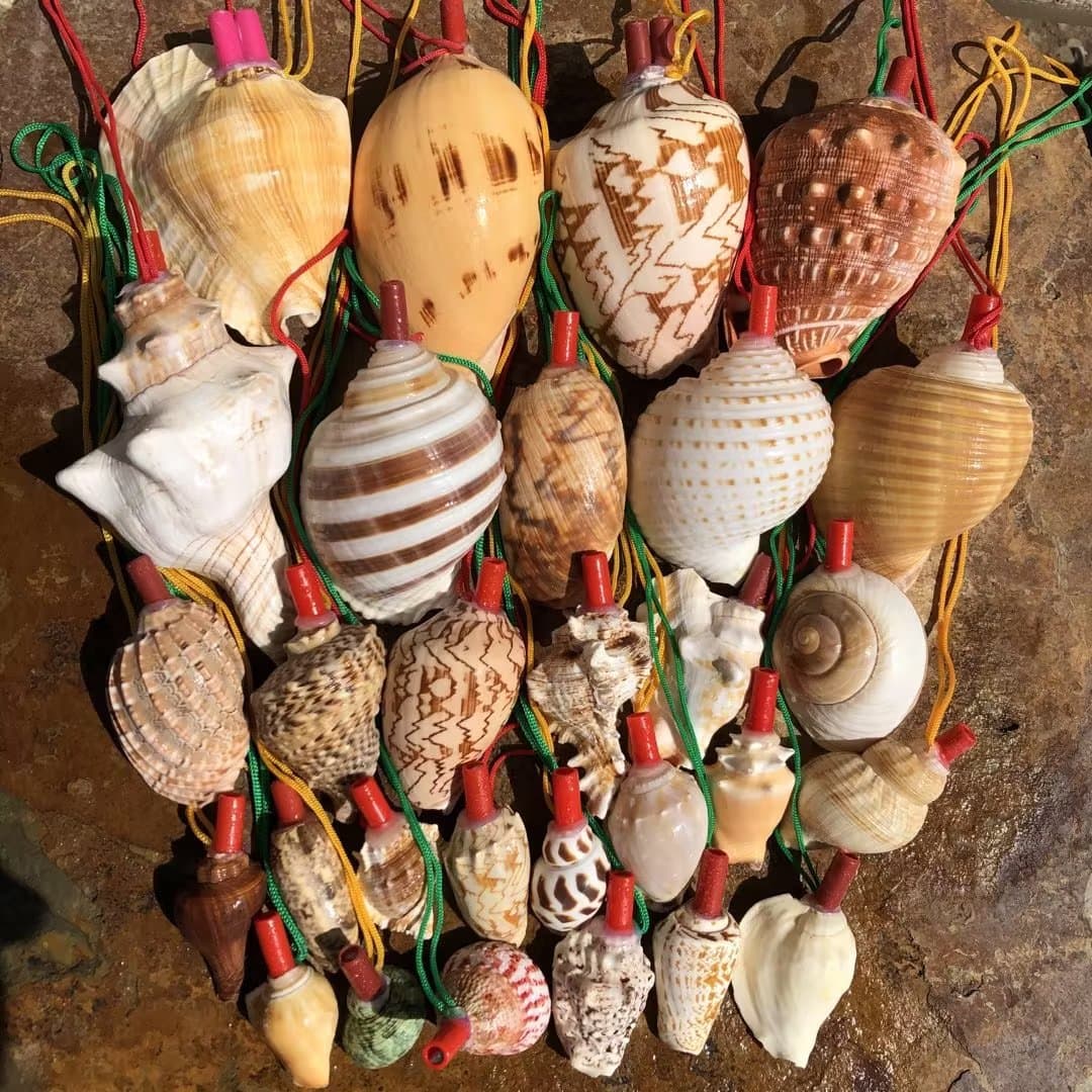 Natural conch horn can blow trumpet whistle shell whistle children's toy whistle small conch horn can blow