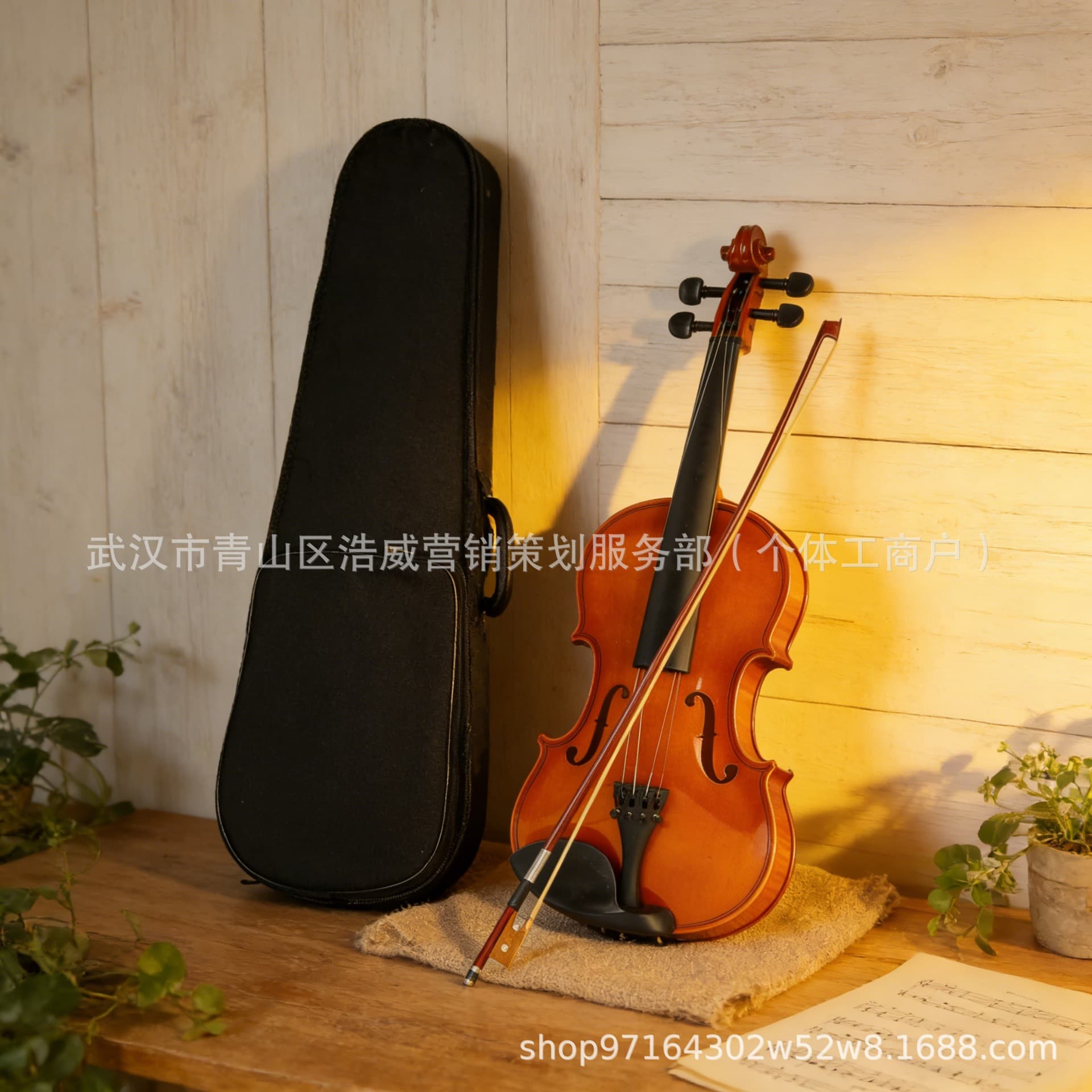 Cross-border Solid Wood Violin Wooden Pegbox Practice Entry Level Grade Exam with Special Case Factory Direct