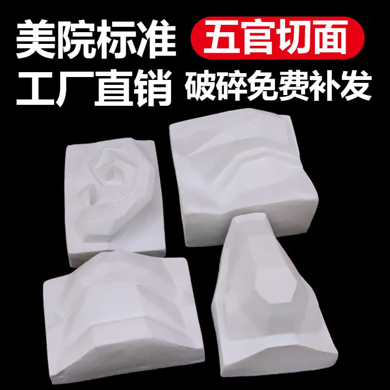 Facial Feature Section Plaster Model Anatomy Study Art Teaching Tool Drawing Still Life