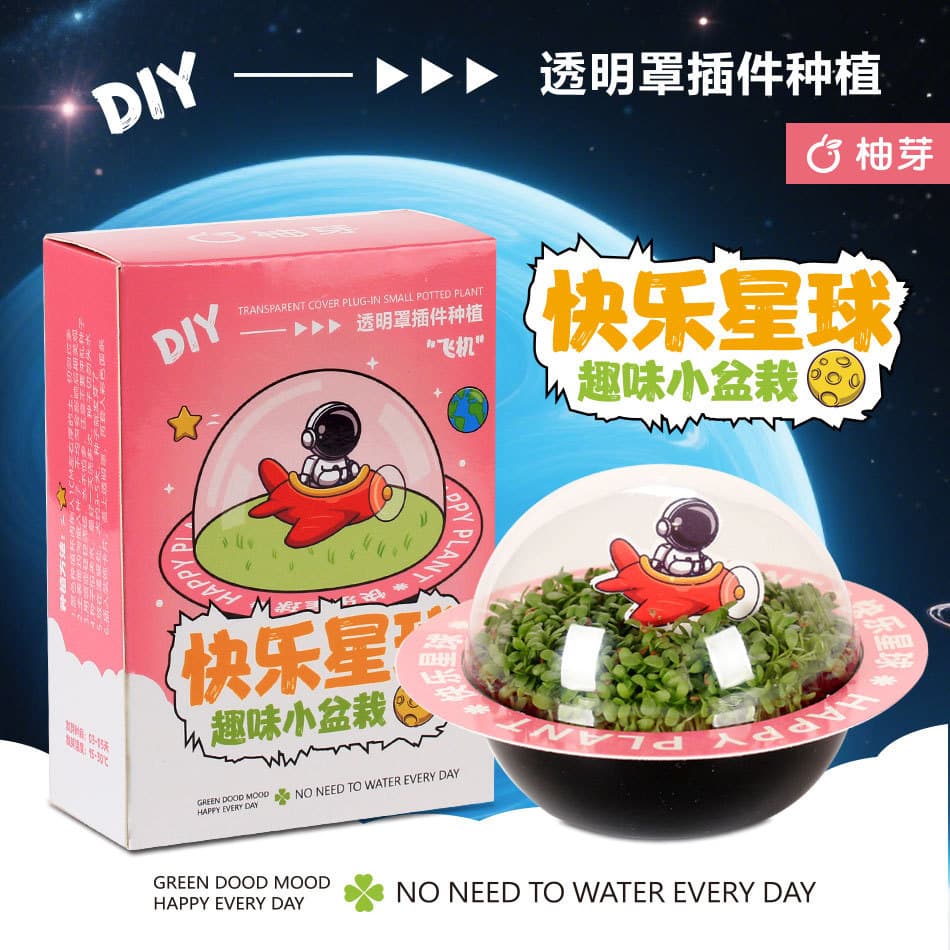 Planet Plant Blind Box: Children's Day Gift for Elementary School Students, Potted Plants, Toddler Bonsai, Landscape Designs, Creative Prizes for Students