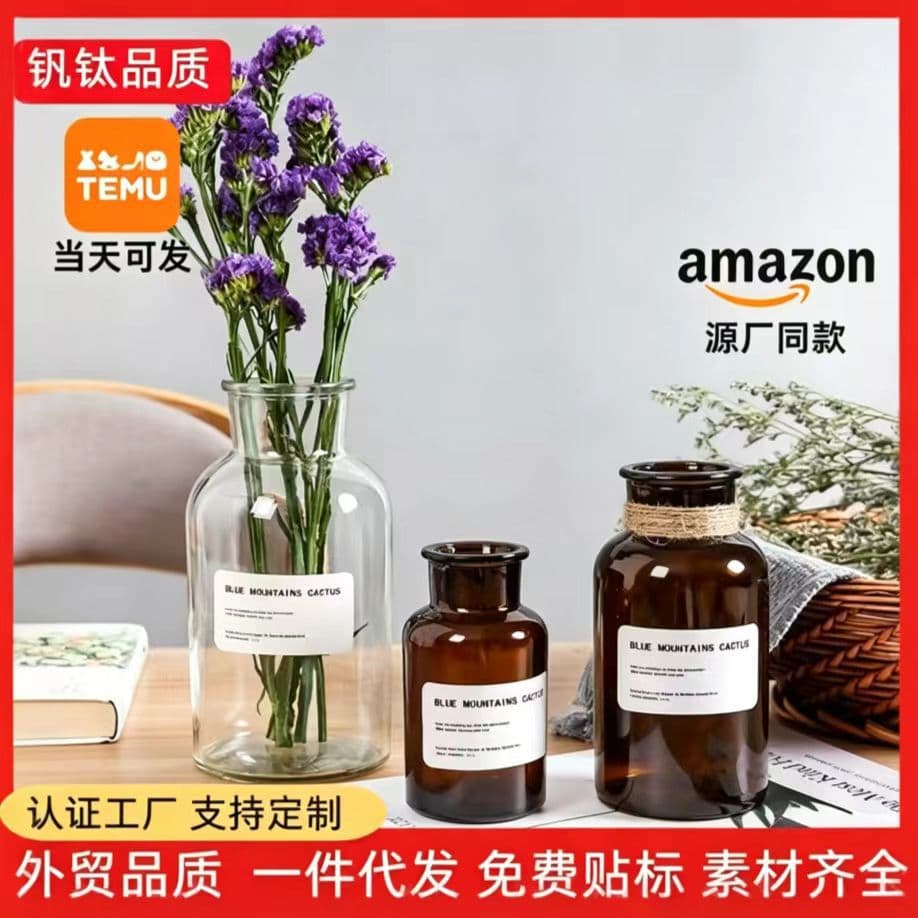 Cross-border hot-selling creative Nordic INS glass vase European-style transparent dried flower ornaments decorative flower arrangement hydroponic vase