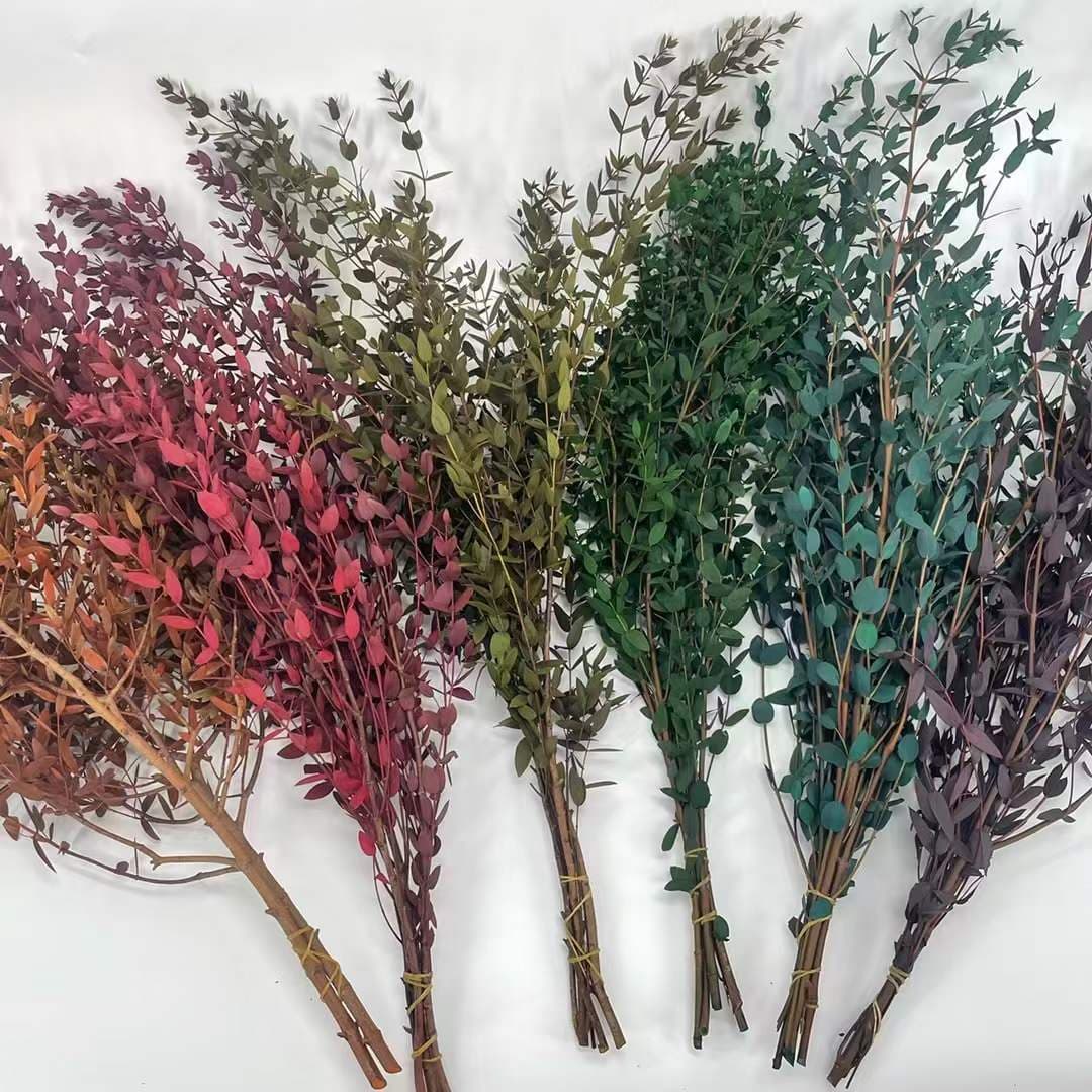 Preserved Fine-leaf Eucalyptus Dried Flower Arrangement Leaf Beautiful Leaf Handmade Bouquet Matching Material Flower Material Wholesale Non-wilting Flower Arrangement Material