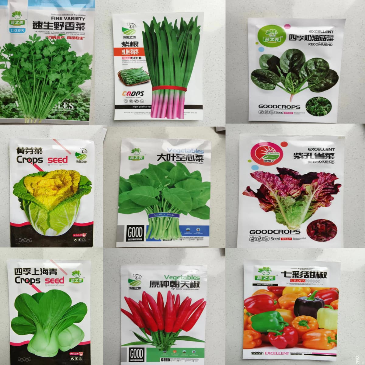 Vegetable Seeds Collection: Spinach, Bok Choy, Shanghai Green, Chicken Feather Vegetable, Family Balcony Potted Seeds, Cilantro
