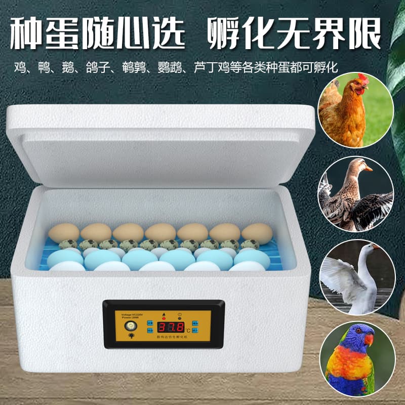Small Household Water Bed Incubator, Fully Automatic Smart Incubator for Quail, Chicken, Duck, Goose, Pigeon Eggs