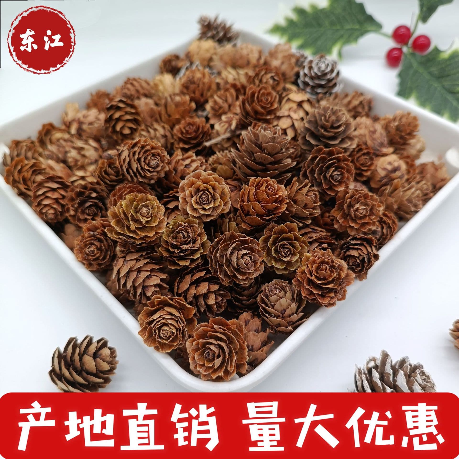 Pinecone larch dried flowers, living room display, photography props, handmade DIY flower arrangement ornaments, home decor small pinecones
