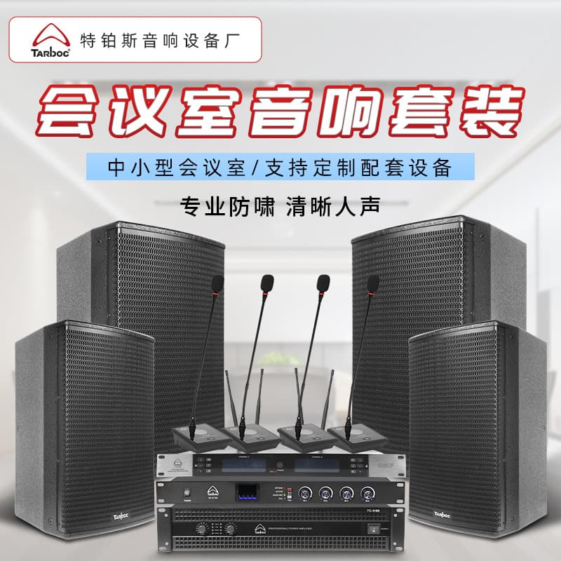 Conference Room Professional Audio, Small to Medium Banquet Hall Dedicated Speakers, Stage, Gym, Classroom, Speech Training Equipment