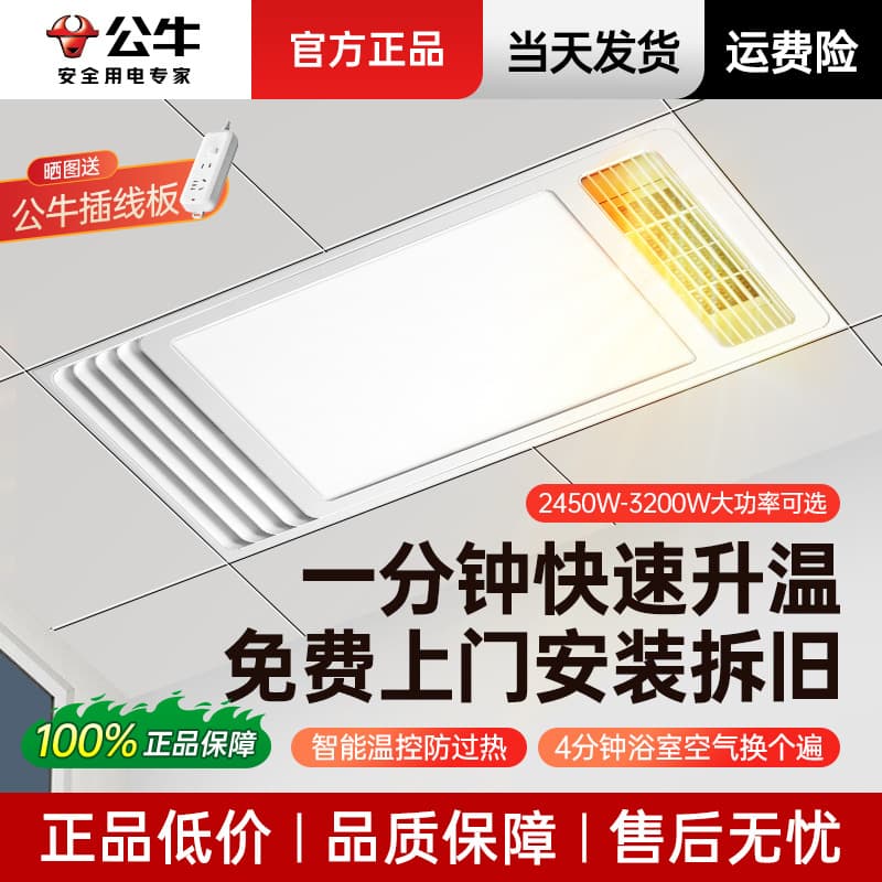 Bull Multifunctional Smart Bathroom Heater with Integrated Ceiling-Mounted Heater and Light for Bathroom Use