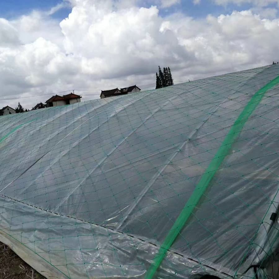 Guangzhou Yong Brand Rope Net Factory processes and wholesales windbreak nets, cultivation greenhouse cover nets, polyethylene plastic fastening nets.