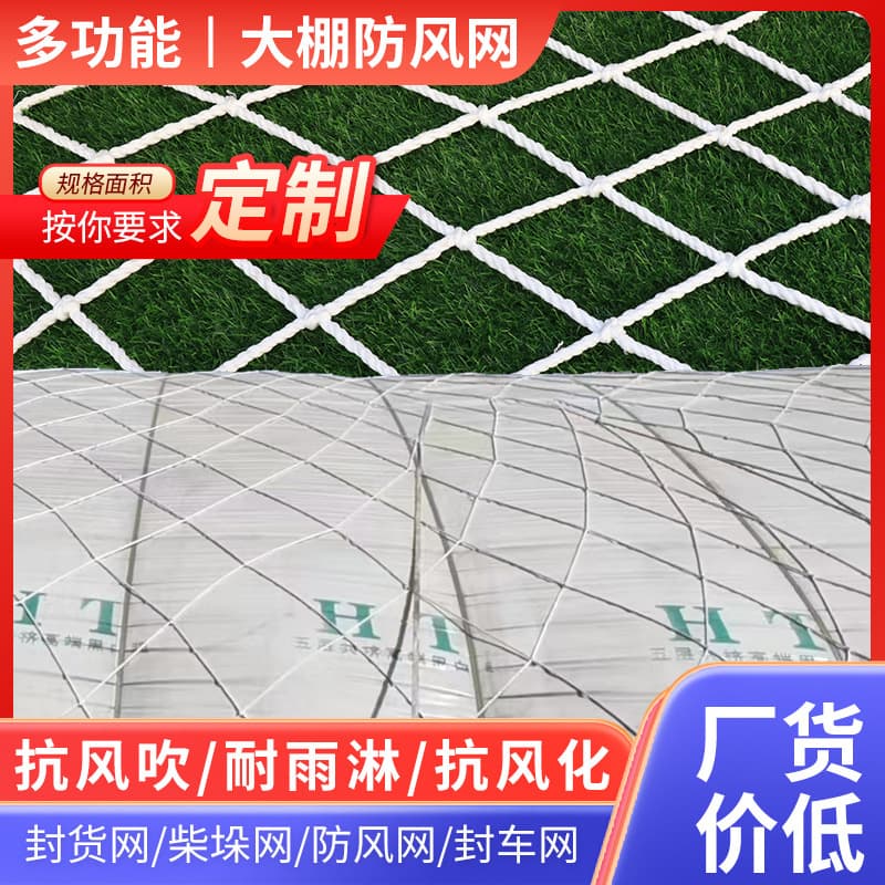 Greenhouse windbreak netting, protective netting, large-hole pressed film rope netting, nylon windbreak netting, safe breeding netting, windbreak netting, greenhouse netting