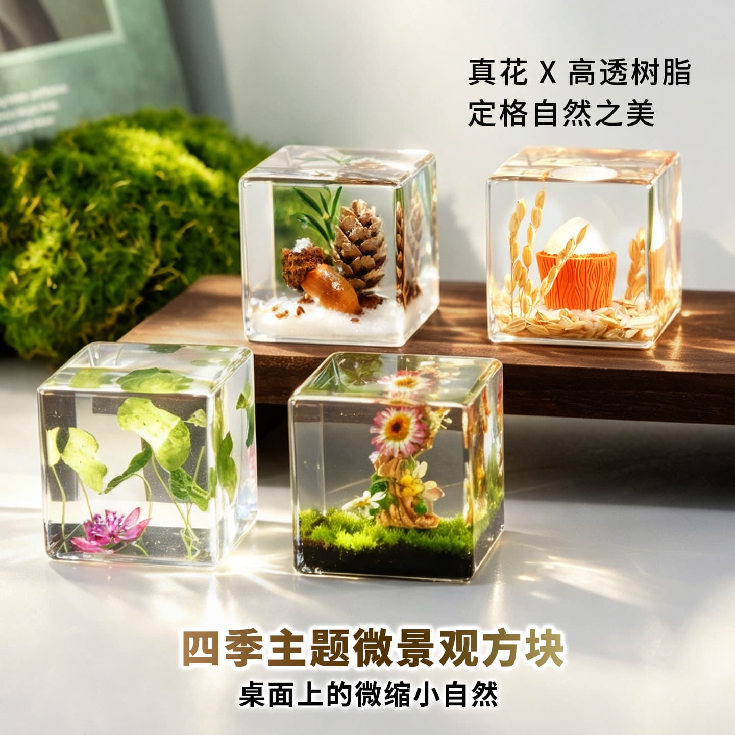 Four Seasons Theme Real Flower Plant Resin Scene Creative Gift, Mini Landscape Ornament Transparent Cube Craft