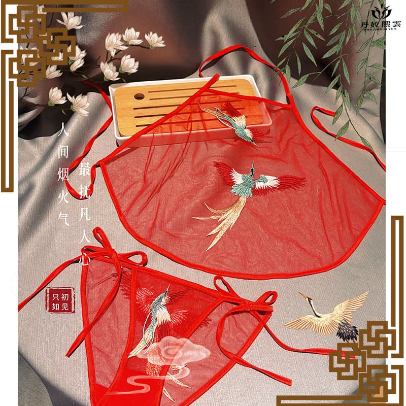 Ancient Style Embroidered Tied-Down Removable Dudou Set Sexy See-Through Mesh Hollow-Out Classical Uniform Lingerie