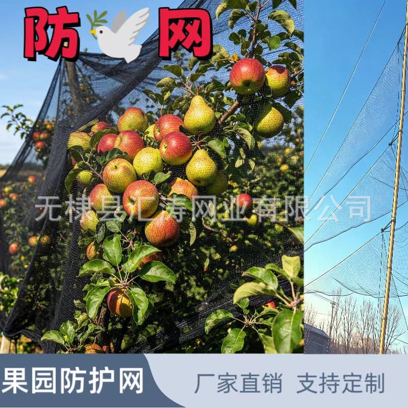 Source factory various specifications airport net fish pond breeding sky net orchard agricultural planting anti-bird net