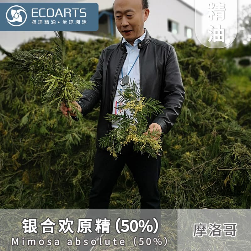 Mimosa Absolute (50%) Moroccan Imported Essential Oil Fragrance Raw Material Yaqi Essential Oil Raw Material Wholesale