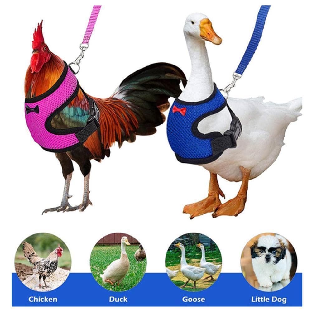 Poultry goose duck chicken breast harness leash adjustable chicken drawstring vest pet supplies walking duck leash
