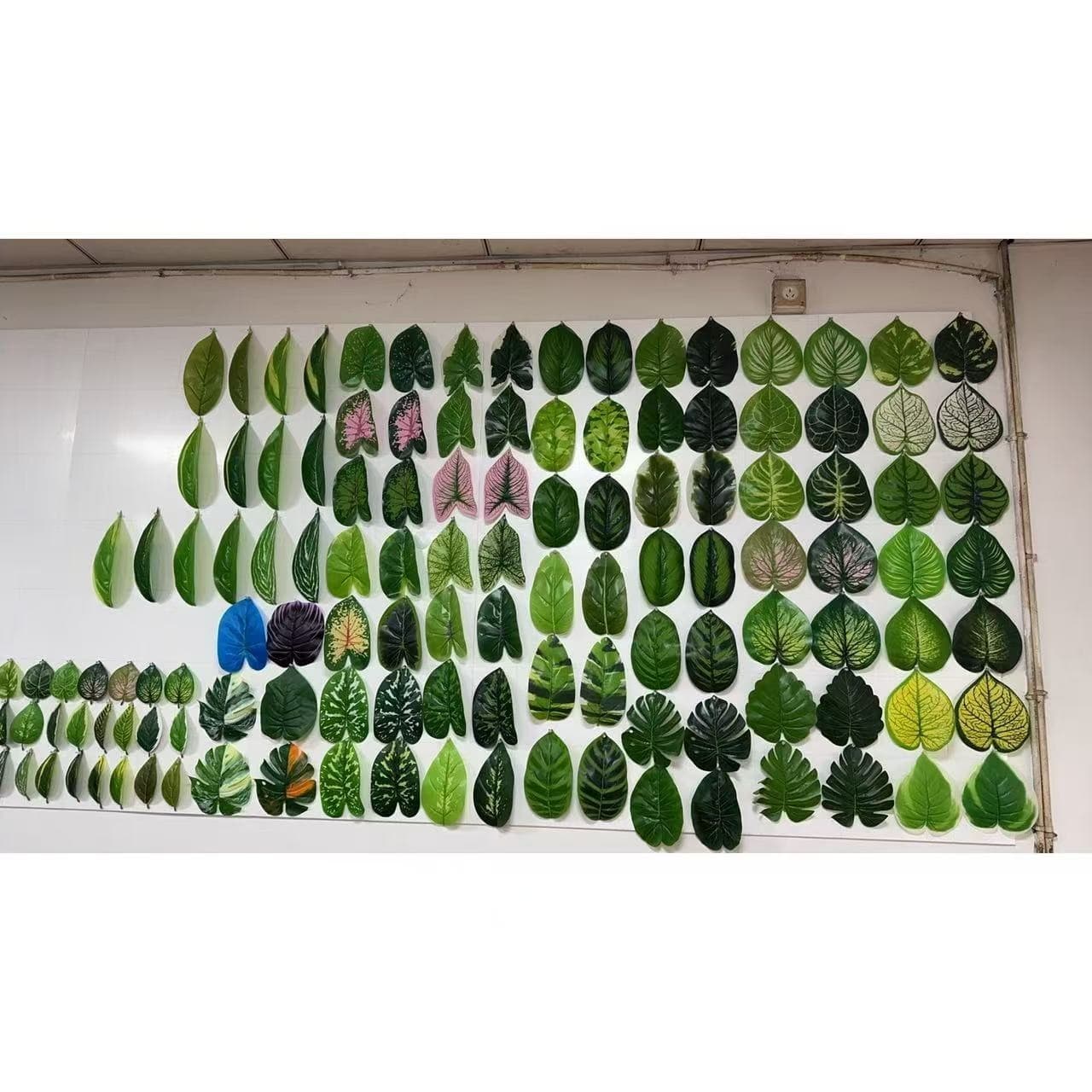 Cross-border 18/24 Heads Adhesive Leaf Monstera Pothos Series Factory Direct Wholesale