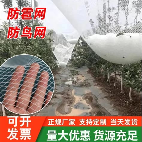 Manufacturer supplies brand new 8mm*8mm white hail protection netting, hailproof netting with a lifespan of over 5 years, suitable for greenhouses and gardens.