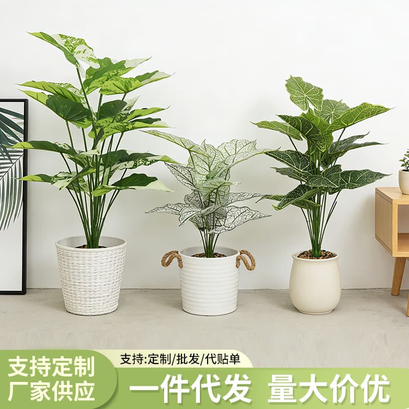 Cross-border Simulation Green Plant Small Faux Alocasia Leaf Living Room Potted Ornament High-End Imitation Plastic Fake Plant Landscaping