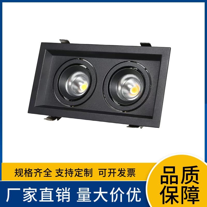 LED Recessed Double-Head COB Spotlights for Shops, Home Living Room Bedroom Lighting, Ultra-Bright Grid Lights, No Main Light