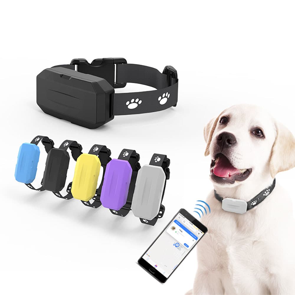 Mobile real-time electronic fence with out-of-range alarm GPS puppy locator, small cat pet positioning electronic collar