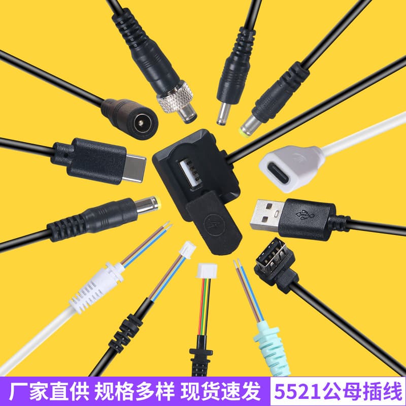 2464 power cord, two-core polarized plug, oxygen-free copper wire wholesale, DC5521 universal USB charging cable.