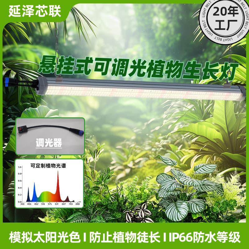 Hanging Dimmable Plant Grow Light Indoor Plant Light Thermal Plant Agave Staghorn Fern Plant Supplement Light