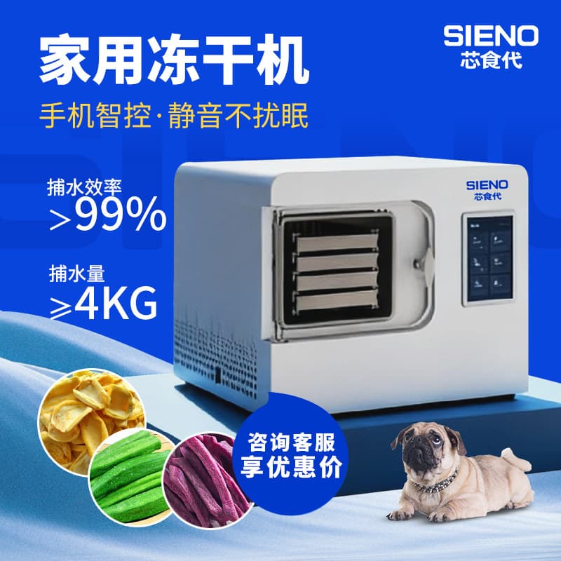 Home Small Freeze Dryer for Food, Fruits, Vegetables, Herbs, Snacks, Vacuum Freeze Drying Machine Commercial Smart