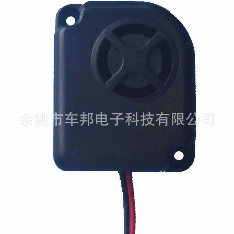 Mini Alarm Buzzer, Active Buzzer Ps-113, DC 12V, Own Mold, Original Factory Production