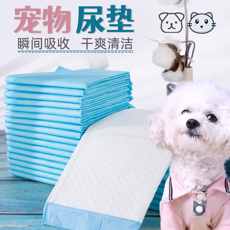 Thickened Odor Eliminating Absorbent Dog Pee Pads Teddy Sanitary Mat Cat Diapers Pet Hygiene Pads Wholesale Pet Supplies