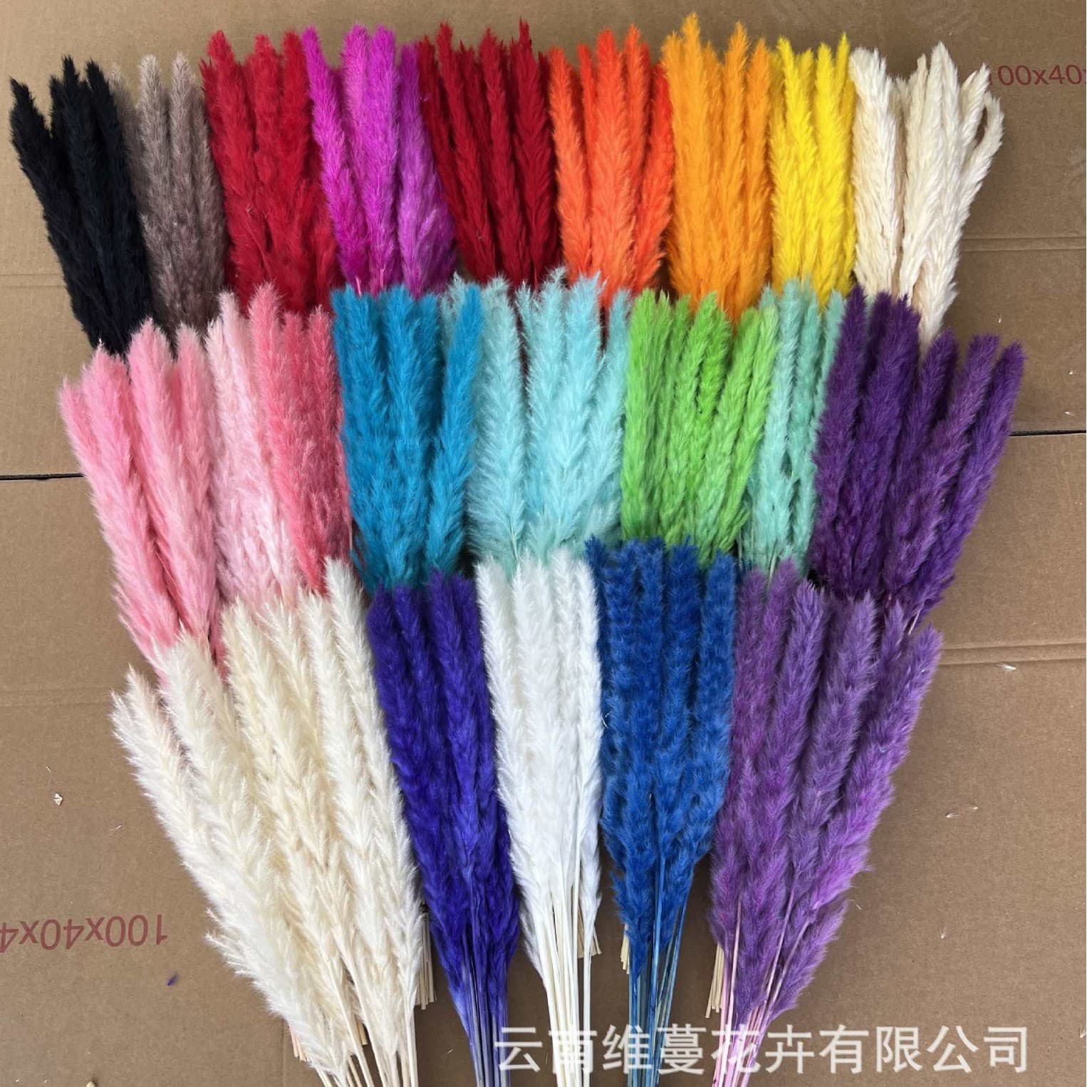 Small Reed Dried Flower Bouquet Handmade DIY Home Decor Factory Direct Supply Ready Stock Wholesale Cross-border Exclusive