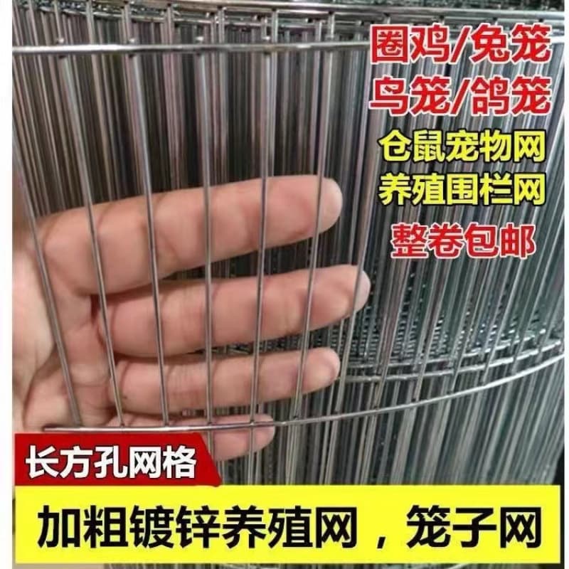 Galvanized wire mesh long hole breeding mesh pigeon house iron mesh bird cage mesh chicken and rabbit cage mesh fence mesh steel wire protective mesh