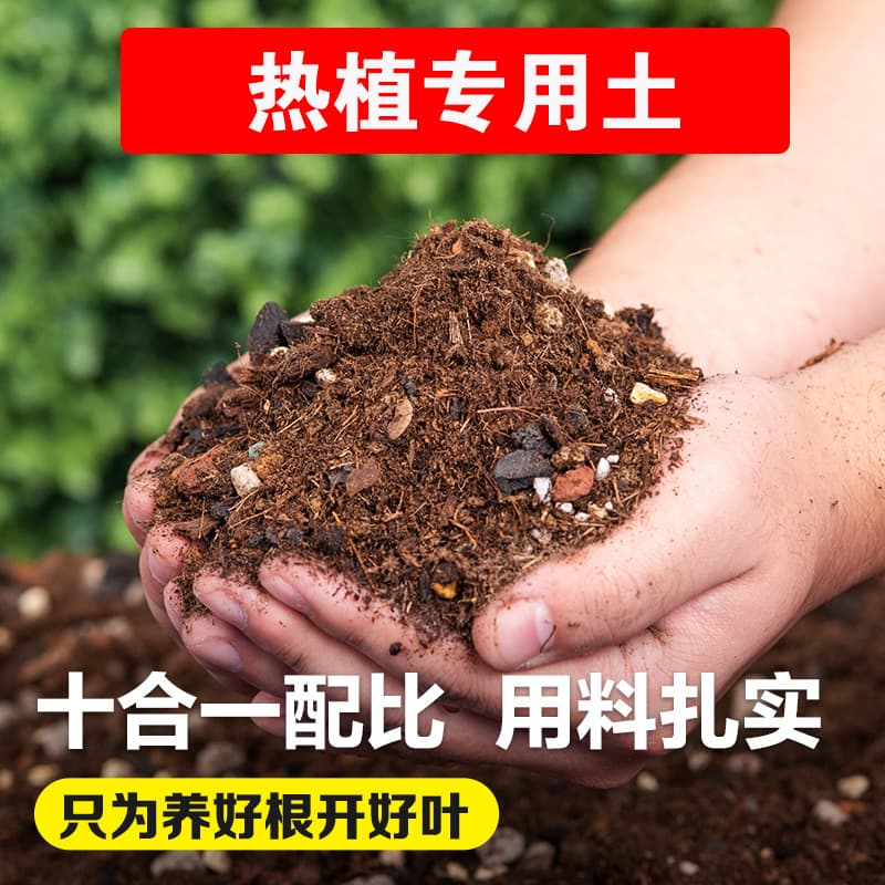 Araceae Tropical Plant Specialized Nutrient Soil, Hot Plant Soil Without Perlite, Gardening Planting Soil for Flower Cultivation