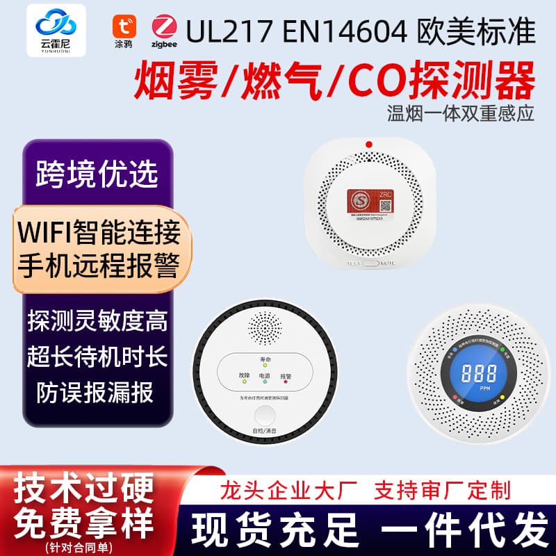 Carbon Monoxide, Gas Leak Sound and Light Smoke Alarm, Wireless Sensor Detector, New National Standard 3C