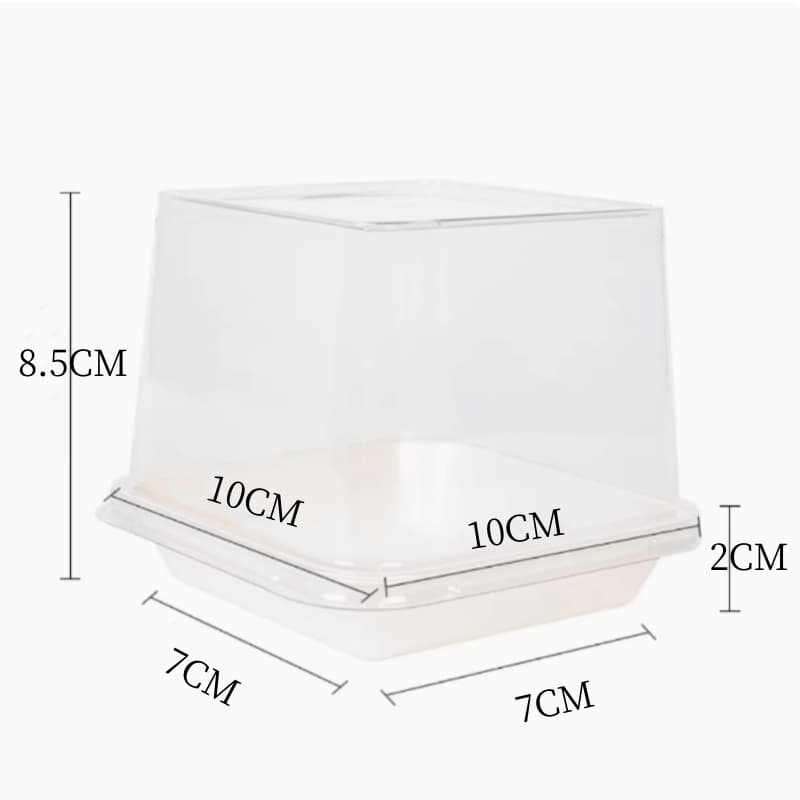 Net Celebrous Food Grade Cake Edge Hard Mousse Base Square Transparent Cake Box Dessert Package Box West Point Box