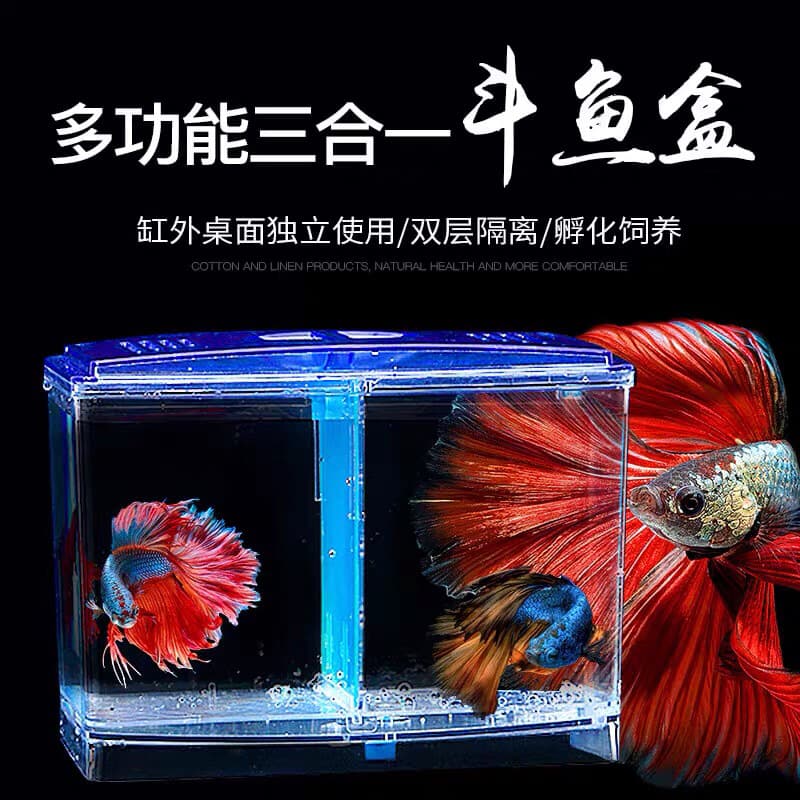 Large double fighting fish box ecological fighting fish tank mini aquarium plastic isolation box breeding box betta fish guppy