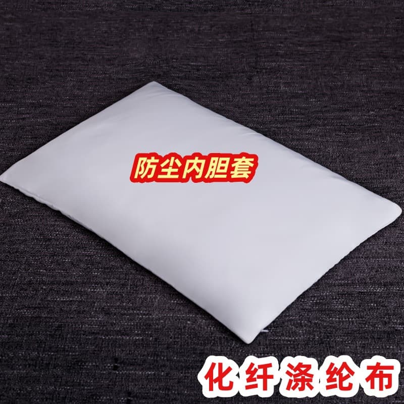 Pillow Inner Core Cover Anti-Down Leakage, Anti-Filling Escape, Anti-Debris Leakage, Dust-Proof Inner Cover, Empty Pillow Case, Buckwheat Husk Inner Core Cover