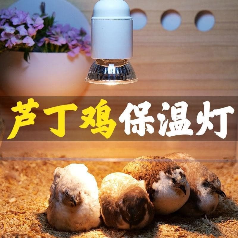 Rutin chicken insulation lamp quail winter winter incubator heating lamp brooding chicks special lighting insulation
