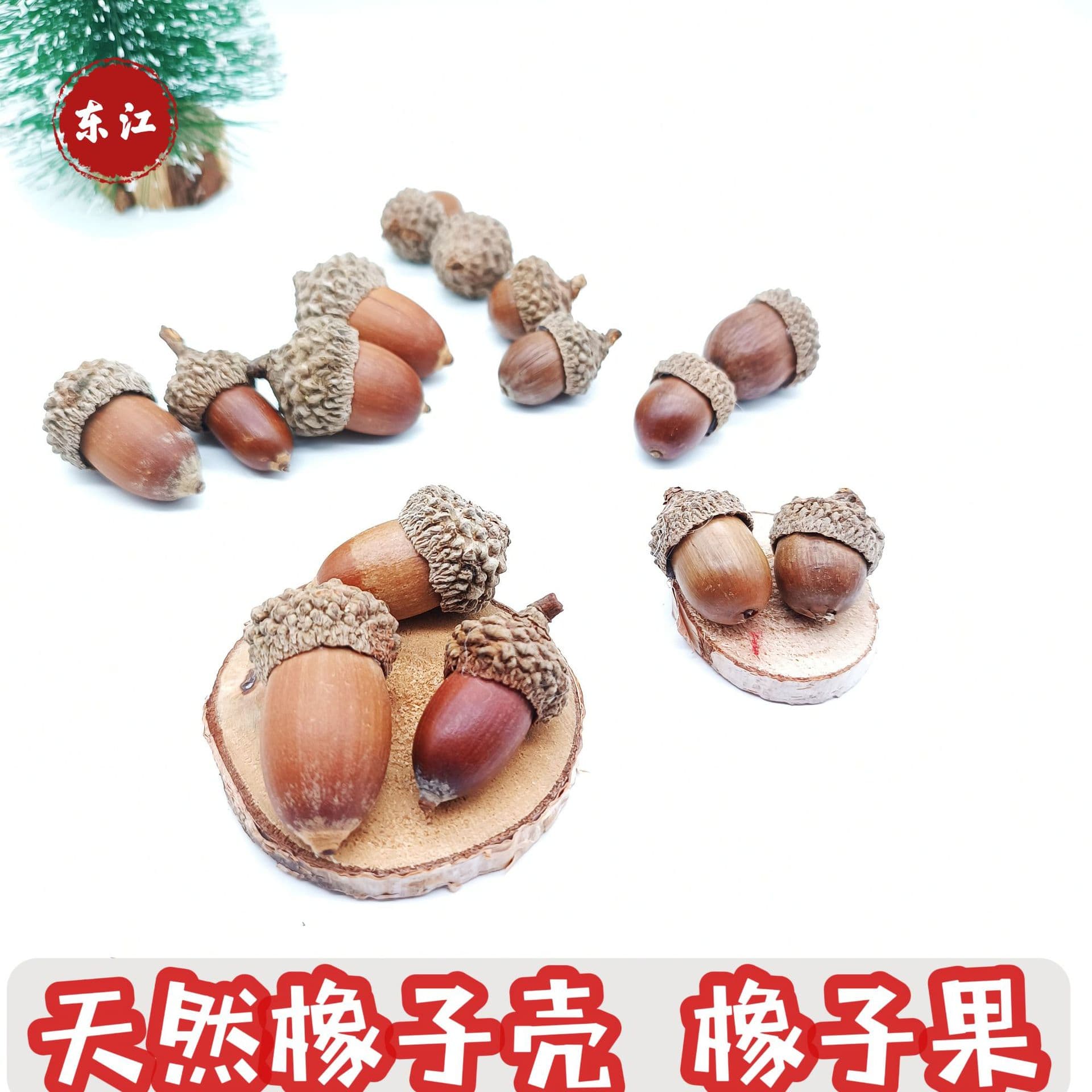 Forest Style Natural Acorn Oak Nut Decoration Handmade Dried Flower Pendant Pinecone Christmas Scene Kindergarten Creative Display
