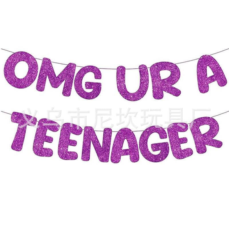 OMG UR A TEENAGER Boy Girl Entering Teen Birthday Party Decoration 13th Birthday Banner