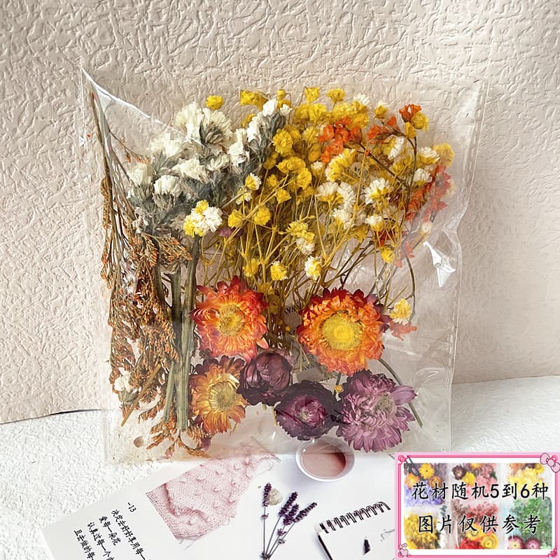 Dried Flower Material Kit Bagged Preserved Dried Flower Materials for Painting Round Fan Greeting Card Handmade Small Bouquet Natural Real Flowers Epoxy Resin