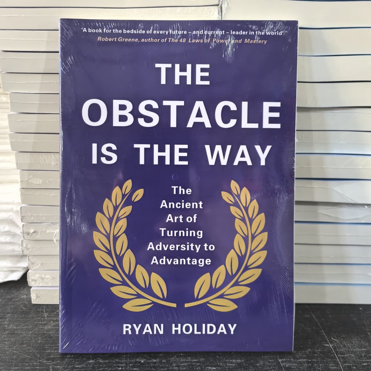 The Obstacle is the Way - English Version