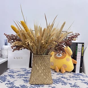 Oat Dried Flowers Premium Look Real Flowers Air-Dried Ornaments Natural DIY Material Wholesale Colored Oats