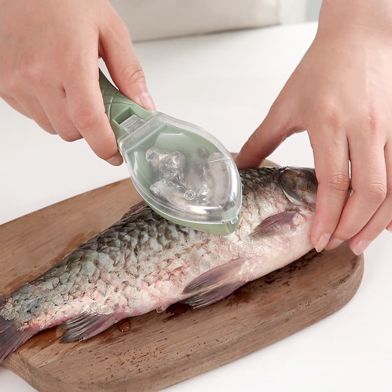 Practical covered fish scaler, manual descaling tool for household kitchen use