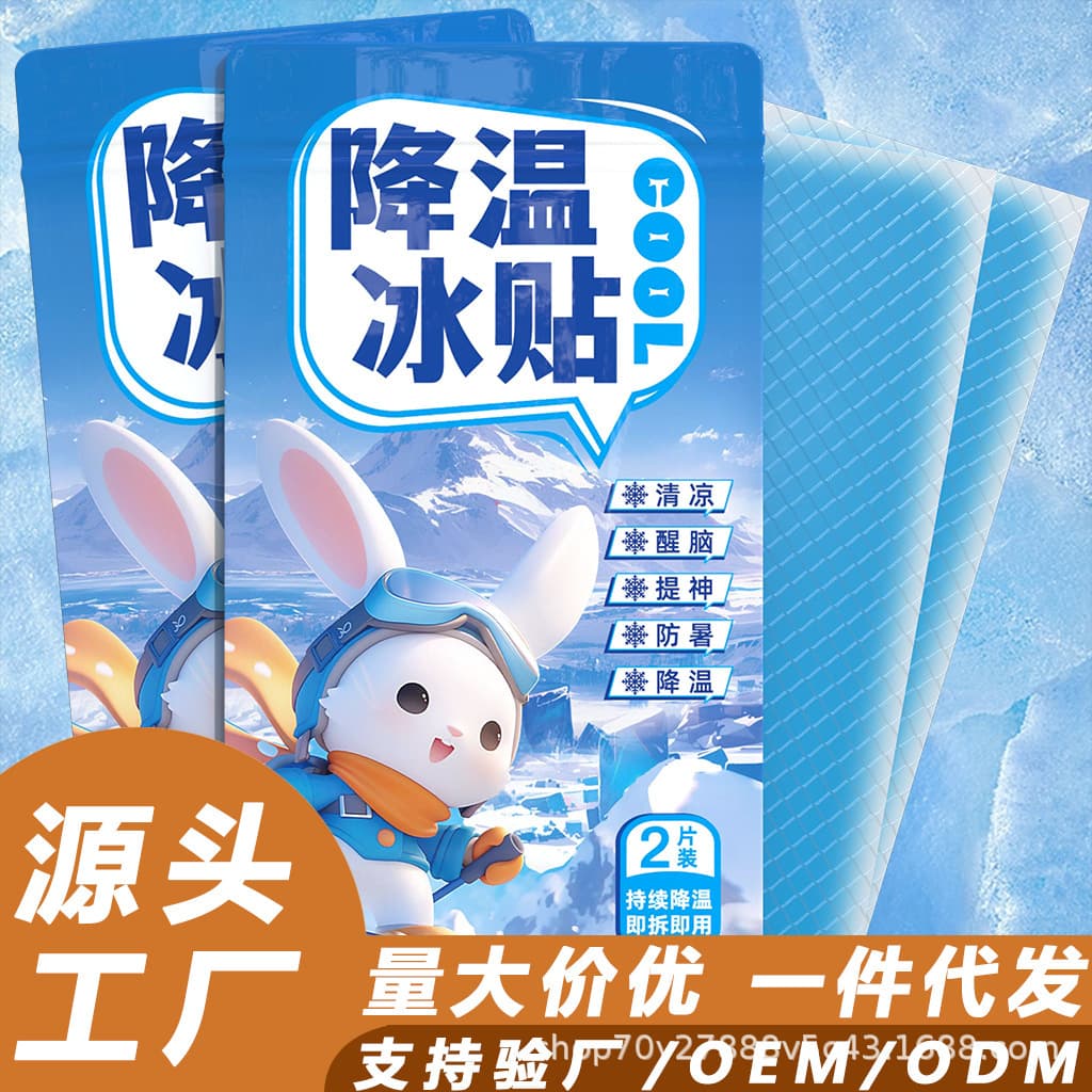 Ice Cooling Pads for Summer Heatstroke Prevention, Physical Cooling for Adults, Phone Cooling, and Student Refreshment